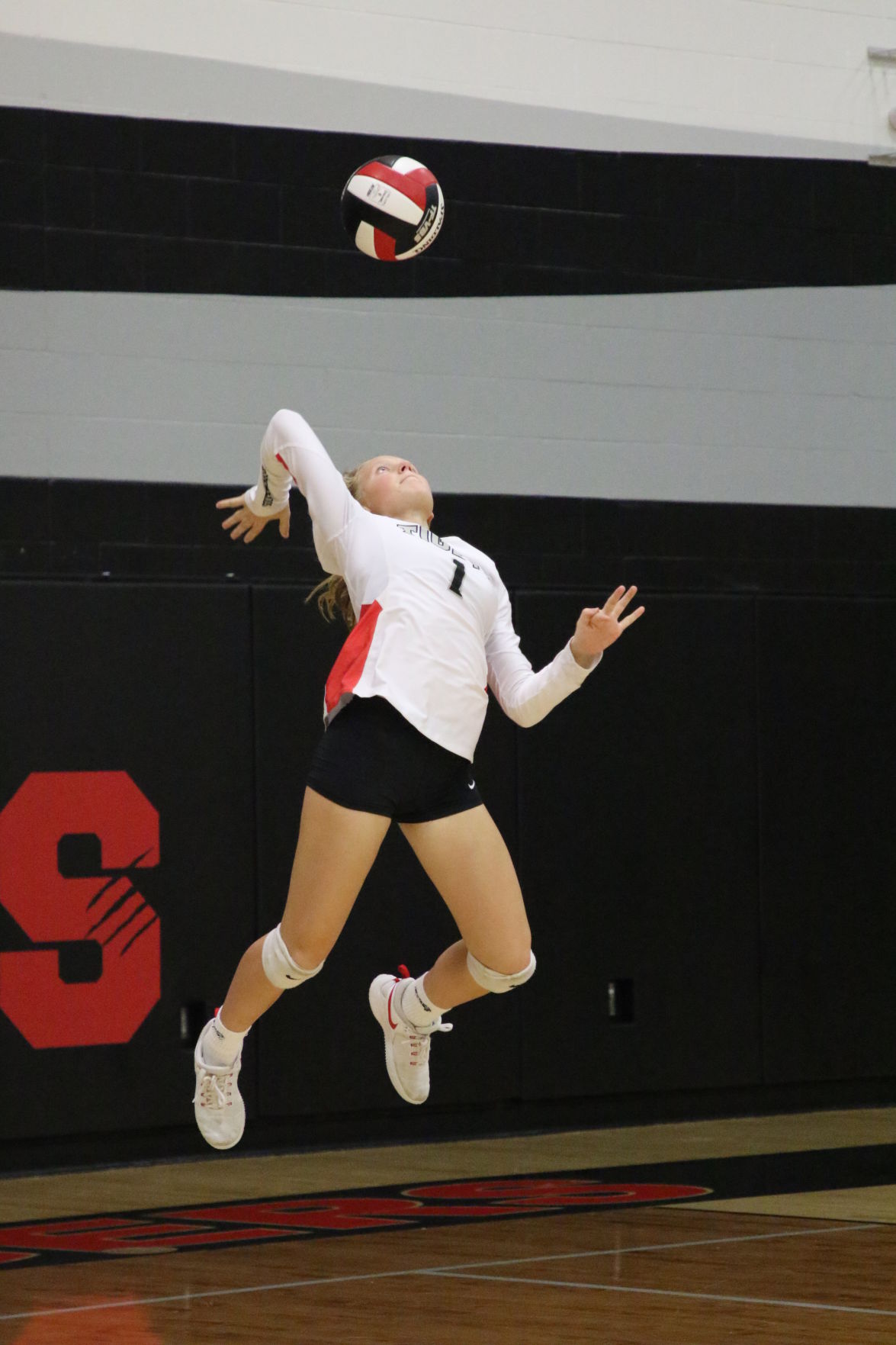 Engelson_SHHawks_7213.JPG